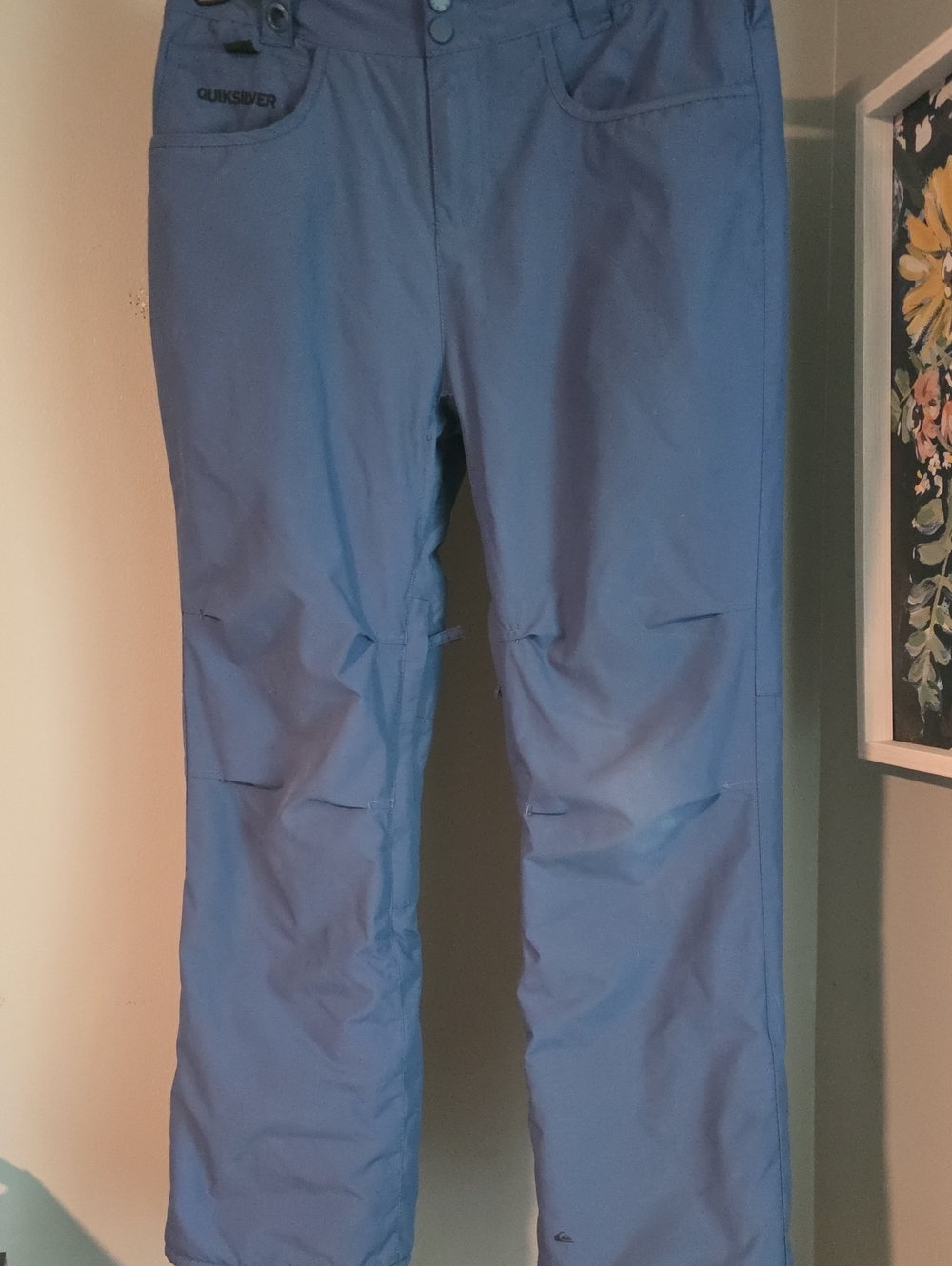 Quiksilver Light Blue Ski/Snow Pants Youth L 14